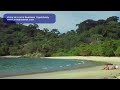 Work At Home Business Opportunity