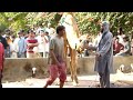 maymar plaza camel qurbani 1.avi