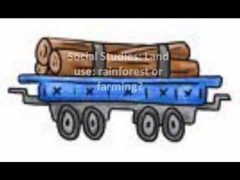 how to train critical thinking