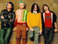 RHCP - Save the Population