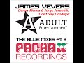 J VEVERS - ADULT MIX 3 - PACHA 2011 - D MENNA amp J JAR