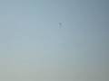 videos de gliding at IIT-kanpur