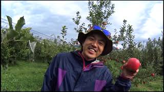 中野市の魅力　飛んで行け！！