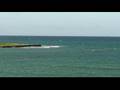 Kites & Canoes in Kailua Bay