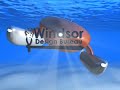 Windsor Submarine Rescuer