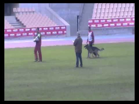 WUSV 2010 - C|-