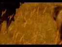 Ukrainian music - rock