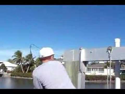 Jack Crevalle fishing in backyard