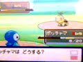 Pokemon Platino Primera batalla Pokemon Platino Primera batalla