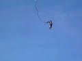 Bungee-Jumping von Schmuddel Bungee-Jumping von Schmuddel