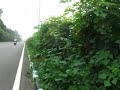 yamaha-r1-fly-by-in-chandigarh-jagan.html