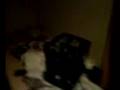 Pries sein Bett XD part2