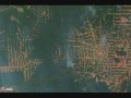 Rondônia Deforestation