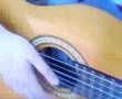 Laura Guitare