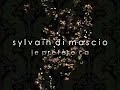 Sylvain di Mascio - Je préfère ça (live)