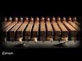 Thursday - Circuits Of Fever