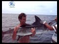 DE PESCA TV Programa 33 DE PESCA TV Programa 33