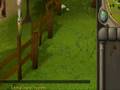runescape glitch!