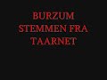 burzum.- stemmen fra taarnet