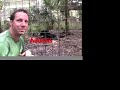 brians favorite cats 2006  big cat tv