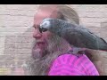 Seattle Busker I