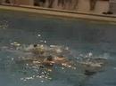 synchro ballet pendant waterpolo