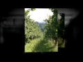 Mon Domaine