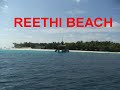 Reethi Beach- Dolhpin Safari