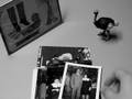 D-Sisive - Behind The Book: Kneecaps