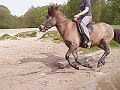 Zoeffff Zoeffff