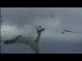 L�bsk vindm�lle - wind turbine out of controll