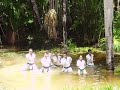 GENSEIRYU,NANBEIKAI,HONBU