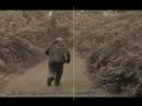 Bruno der B�r