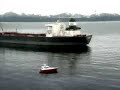 Exxon Valdez Oil Spill Exxon Valdez Oil Spill