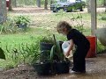 Gweneth watering the plants at mamaws