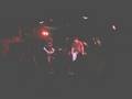 videos de sheeple live.wmv