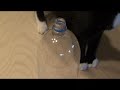 colbert nasas node 3 is a urine recycling room