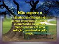 FOLHAS SECAS