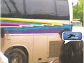 Acapulco: Sol, Mar y Autobuses