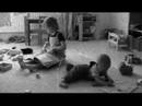 video about my family. summer 2007.
music (c) by diogal.