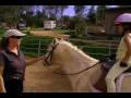Horseback Riding Lessons