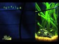 Aquarium