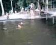 Eneg 2008 - Balneario