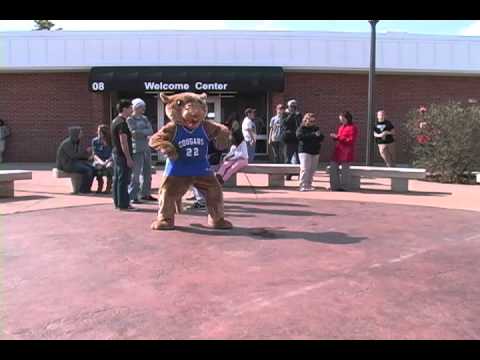 CCCC does the Harlem Shake!