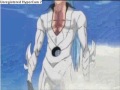 Ichigo VS grimjow Final battle