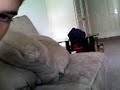 bark bark 2 bark bark 2
