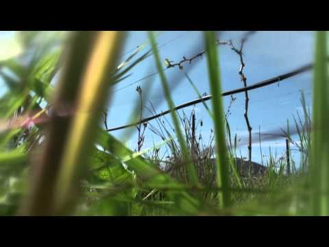 Avondale Eco Tour