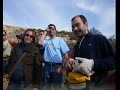 Album de Jacorbolledo (1)
