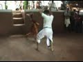 kalaripayattu  vati  [small stick]
