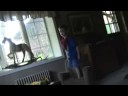 Anoying the kids
